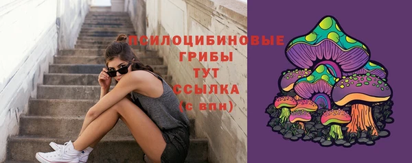 каннабис Арсеньев