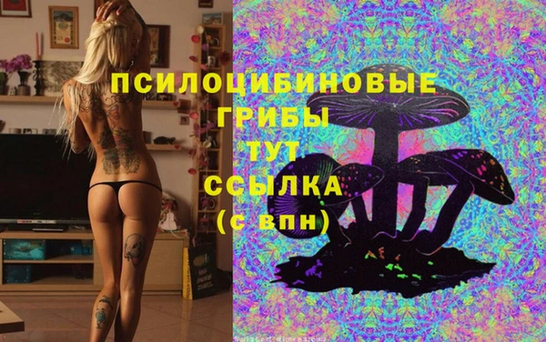 каннабис Арсеньев