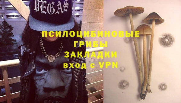 ALPHA-PVP Аркадак