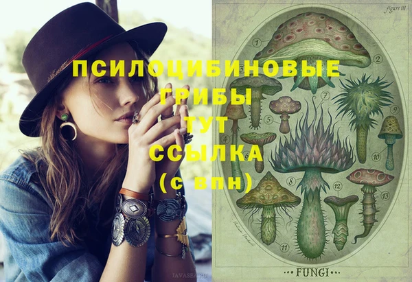 метадон Армянск