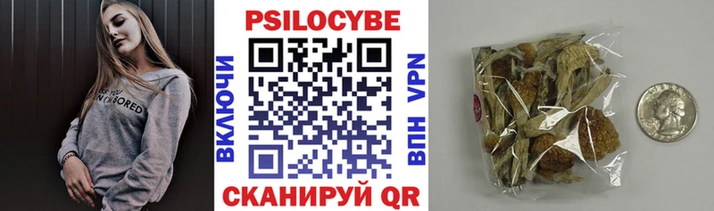 mega вход  Ахтубинск  darknet Telegram  Галлюциногенные грибы Psilocybe 